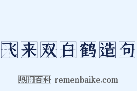 飞来双白鹤造句是什么意思的图片